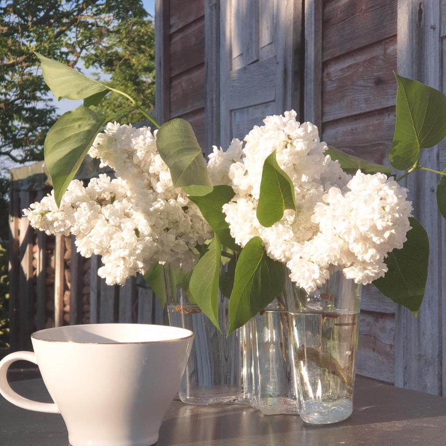 Ronehamn Bed And Breakfast Hemse Екстериор снимка