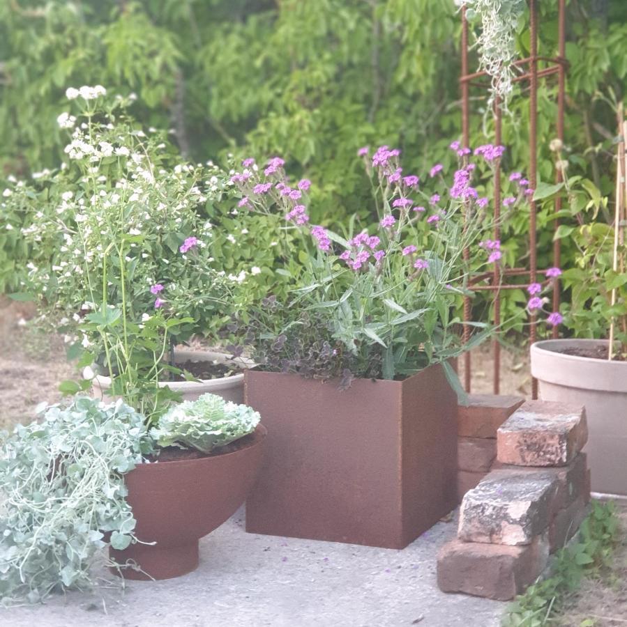 Ronehamn Bed And Breakfast Hemse Екстериор снимка