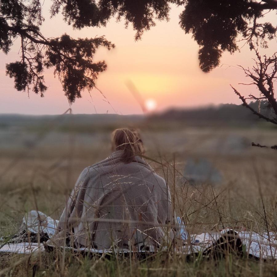 Ronehamn Bed And Breakfast Hemse Екстериор снимка