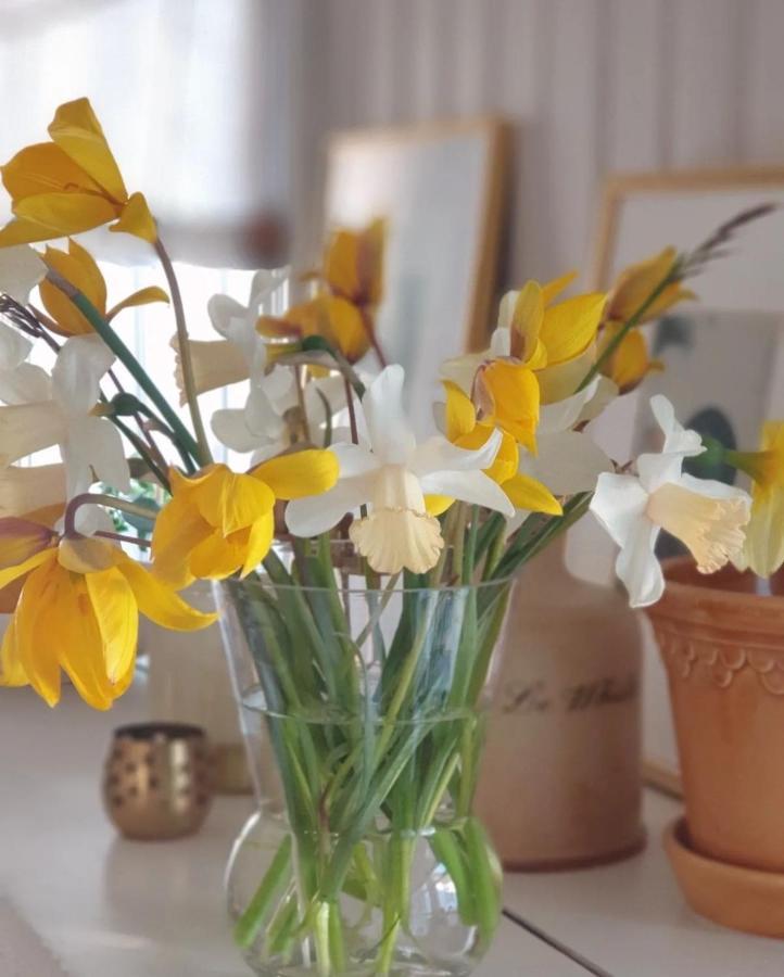 Ronehamn Bed And Breakfast Hemse Екстериор снимка