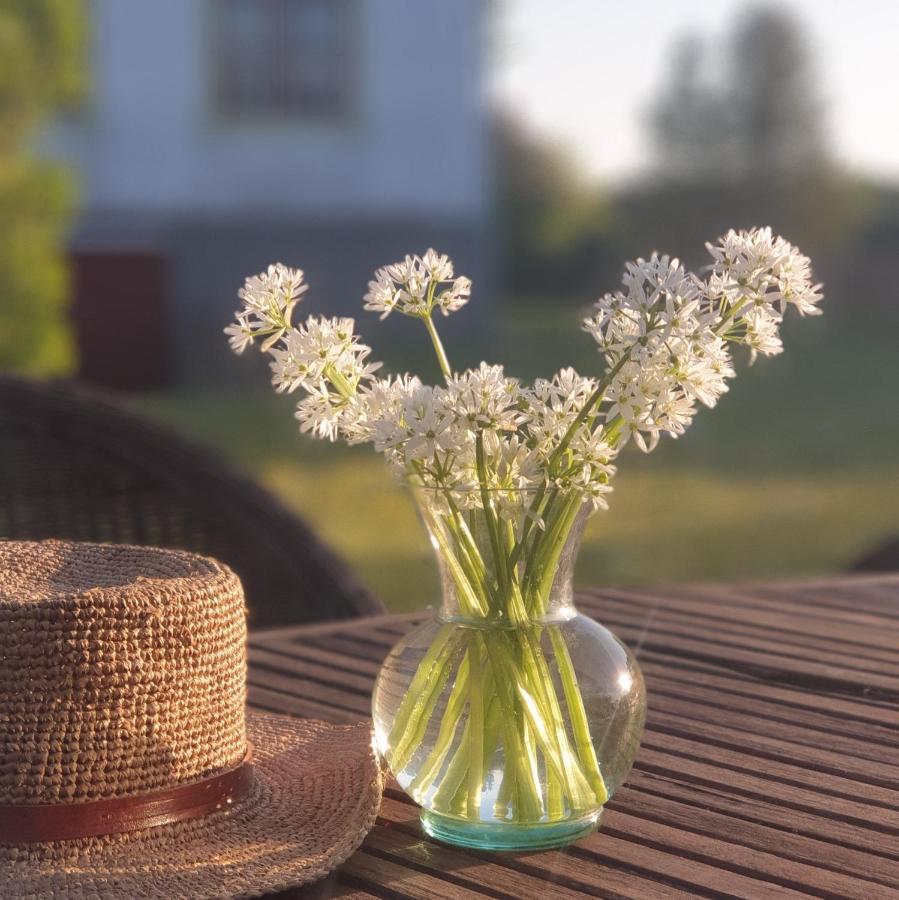 Ronehamn Bed And Breakfast Hemse Екстериор снимка