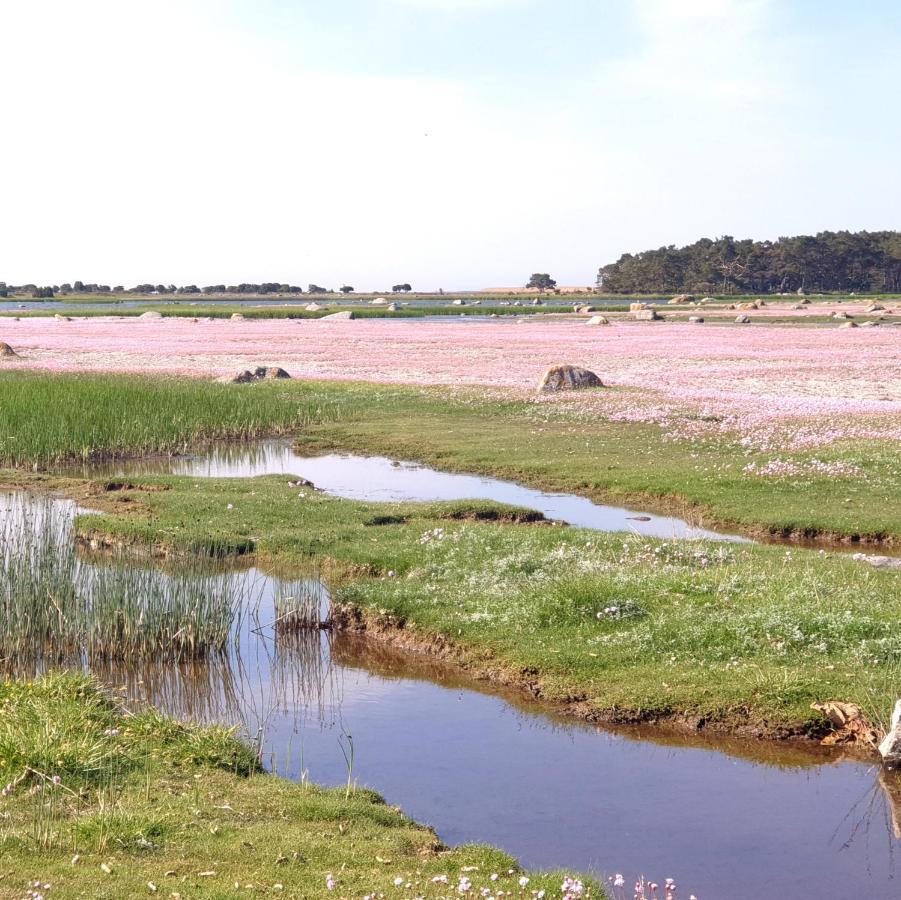 Ronehamn Bed And Breakfast Hemse Екстериор снимка